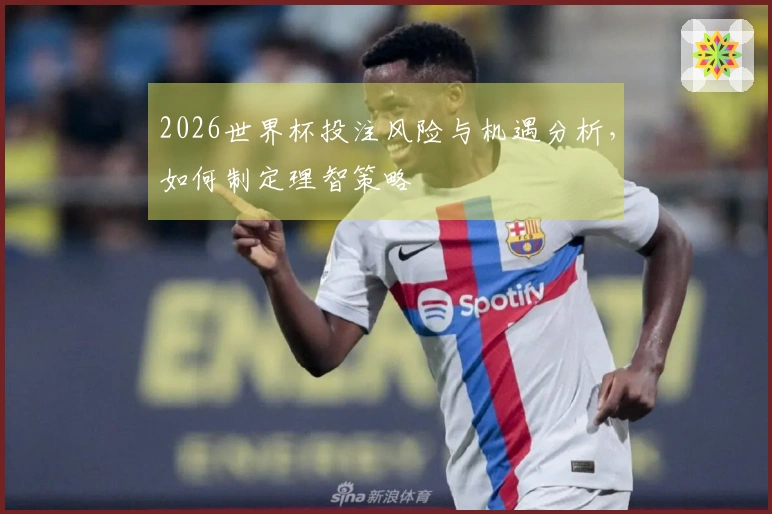 2026世界杯投注风险与机遇分析，如何制定理智策略
