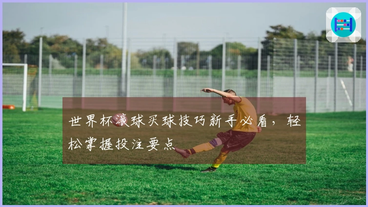 世界杯滚球买球技巧新手必看，轻松掌握投注要点