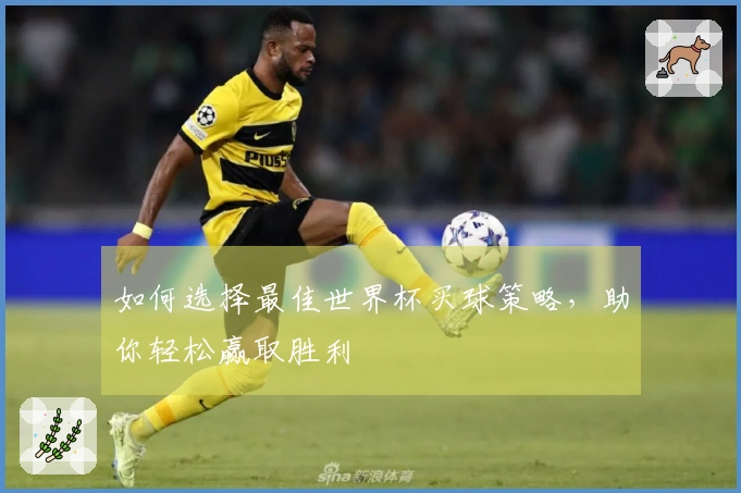如何选择最佳世界杯买球策略，助你轻松赢取胜利