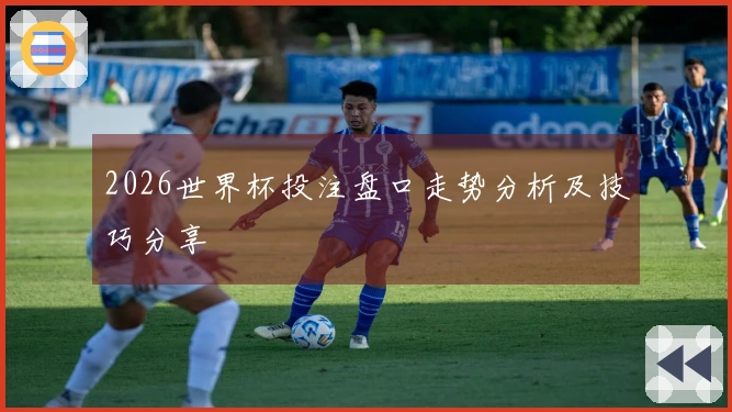 2026世界杯投注盘口走势分析及技巧分享