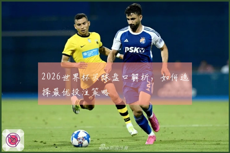 2026世界杯买球盘口解析，如何选择最优投注策略
