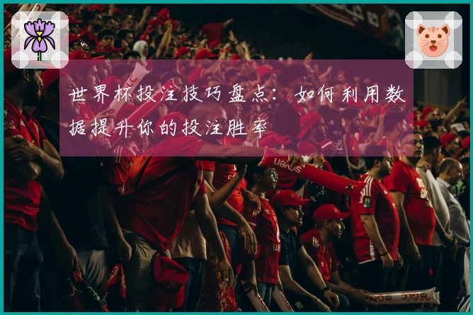 世界杯投注技巧盘点：如何利用数据提升你的投注胜率