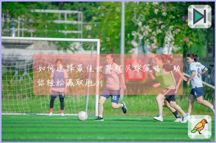 如何选择最佳世界杯买球策略，助你轻松赢取胜利