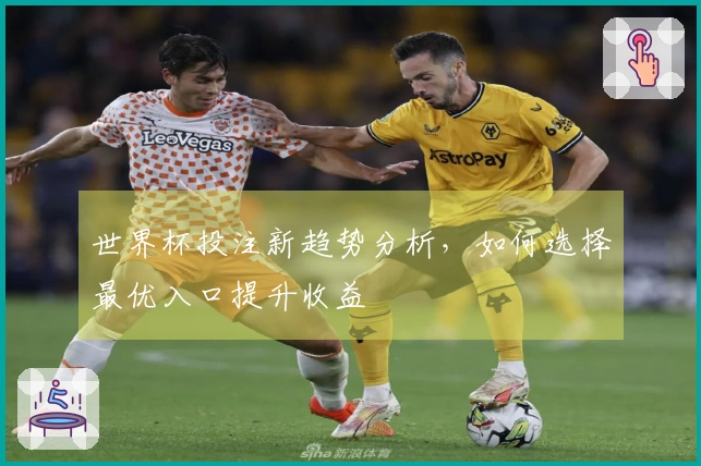 世界杯投注新趋势分析，如何选择最优入口提升收益