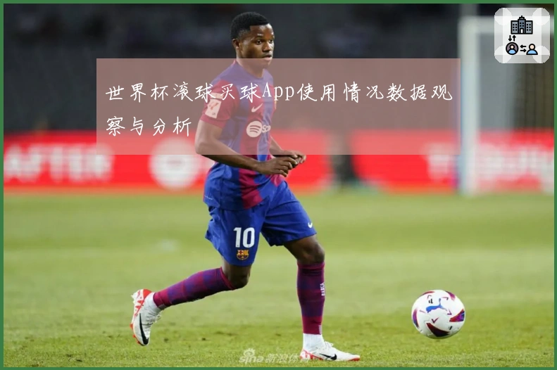 世界杯滚球买球App使用情况数据观察与分析