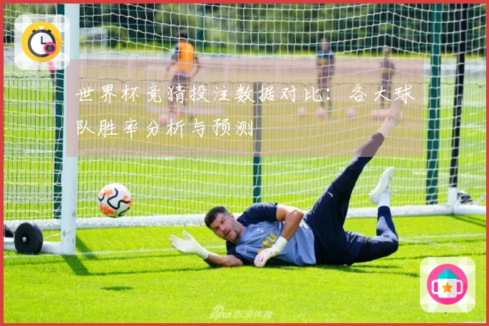 世界杯竞猜投注数据对比：各大球队胜率分析与预测