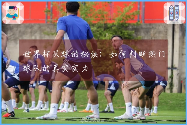 世界杯买球的秘诀：如何判断热门球队的真实实力
