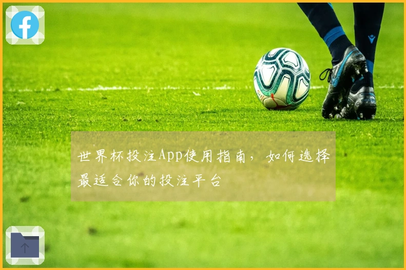 世界杯投注App使用指南，如何选择最适合你的投注平台