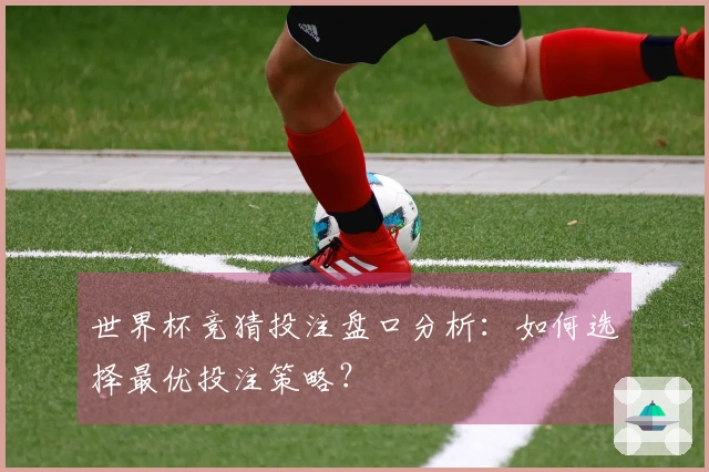 世界杯竞猜投注盘口分析：如何选择最优投注策略？