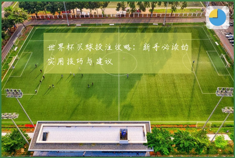 世界杯买球投注攻略：新手必读的实用技巧与建议