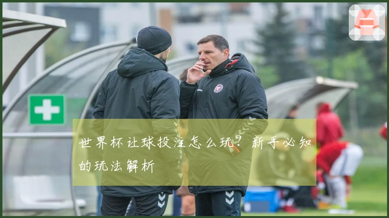 世界杯让球投注怎么玩？新手必知的玩法解析