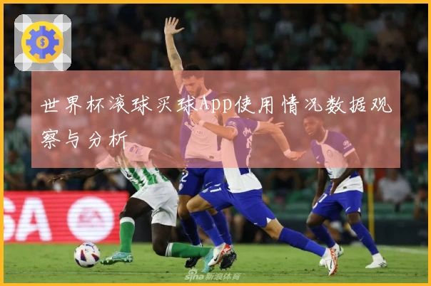 世界杯滚球买球App使用情况数据观察与分析